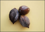 Amara Nut